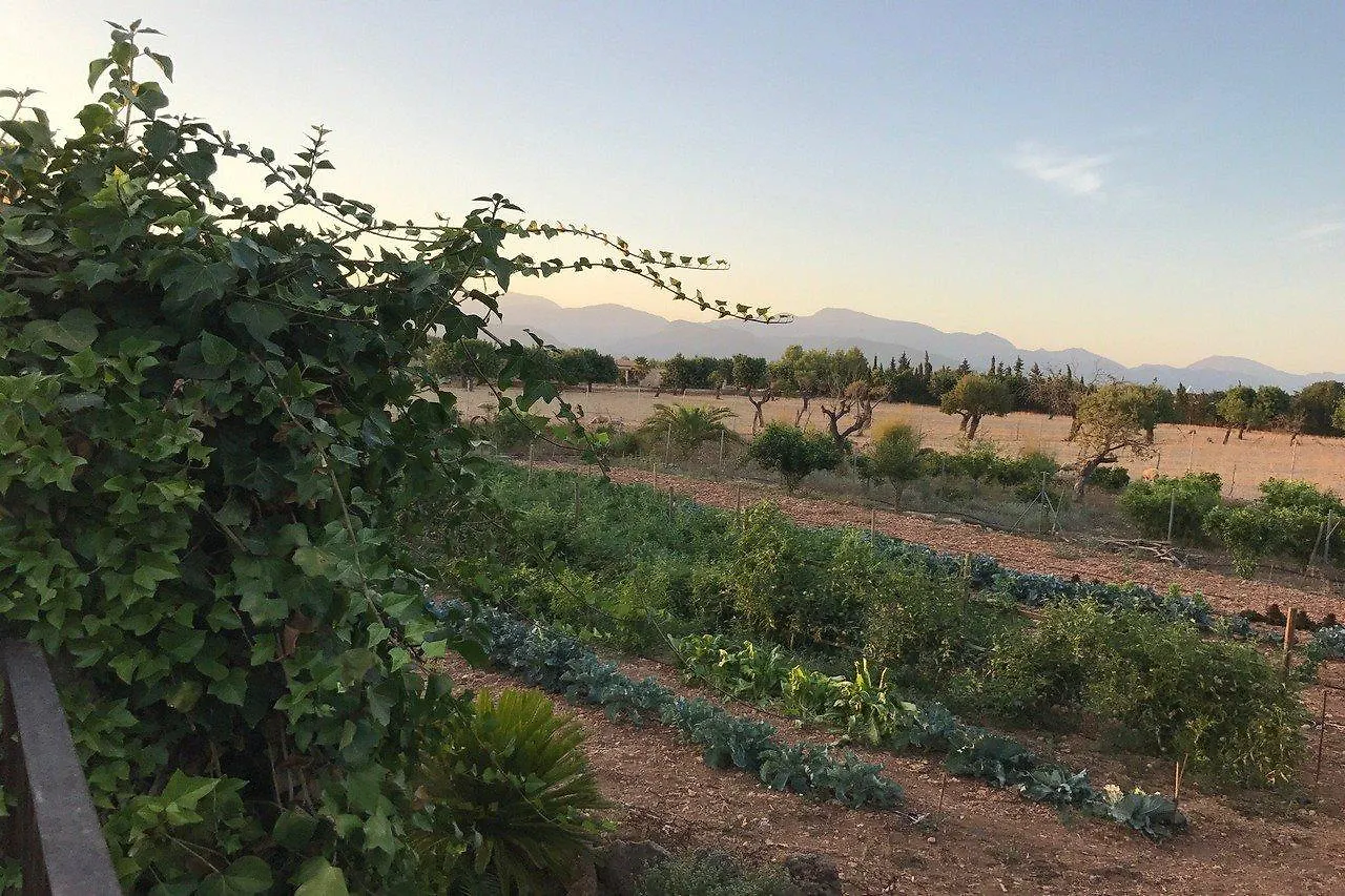 Agroturismo Es Quatre Cantons Binissalem Spain