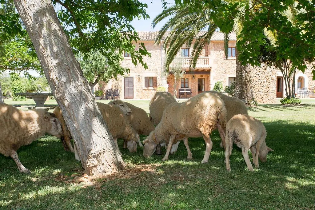Agroturismo Es Quatre Cantons Binissalem