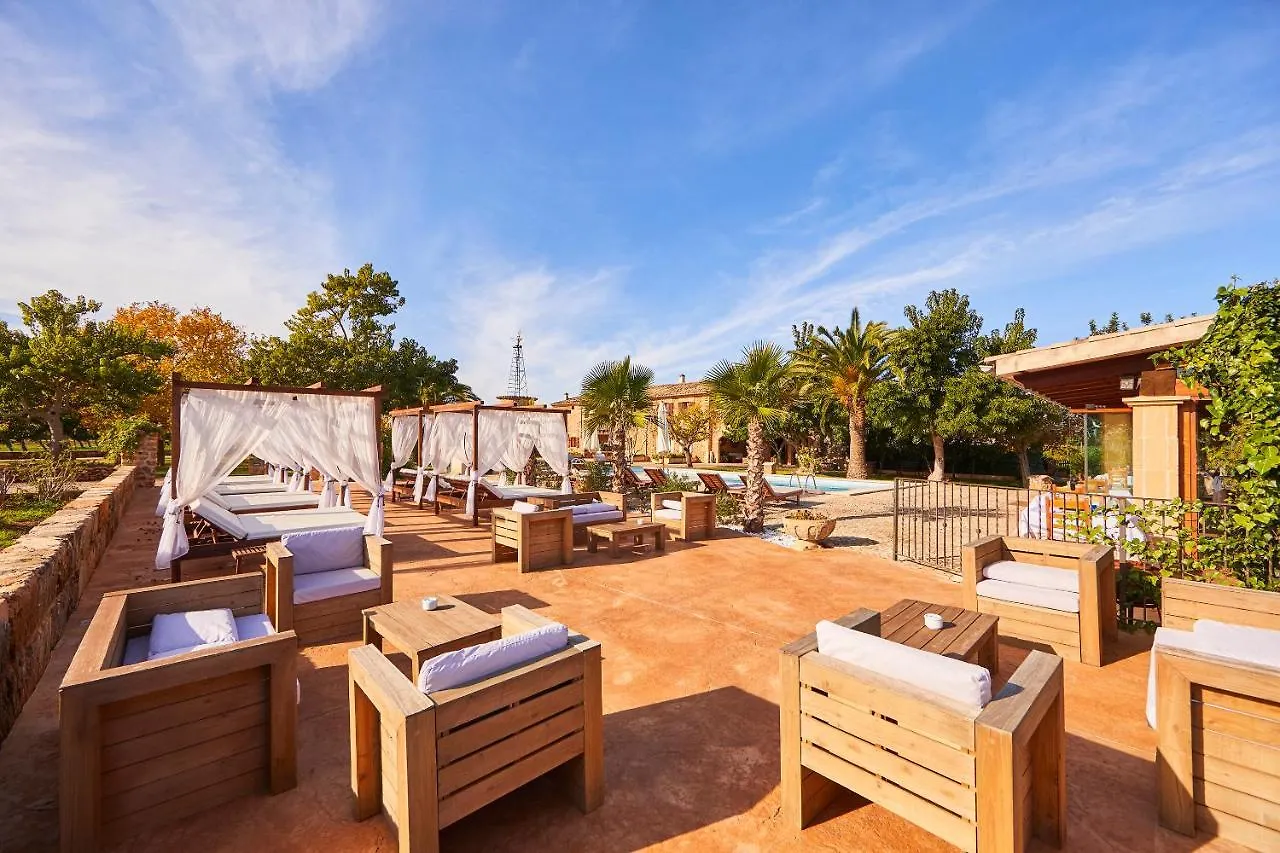 Agroturismo Es Quatre Cantons Binissalem Farm stay